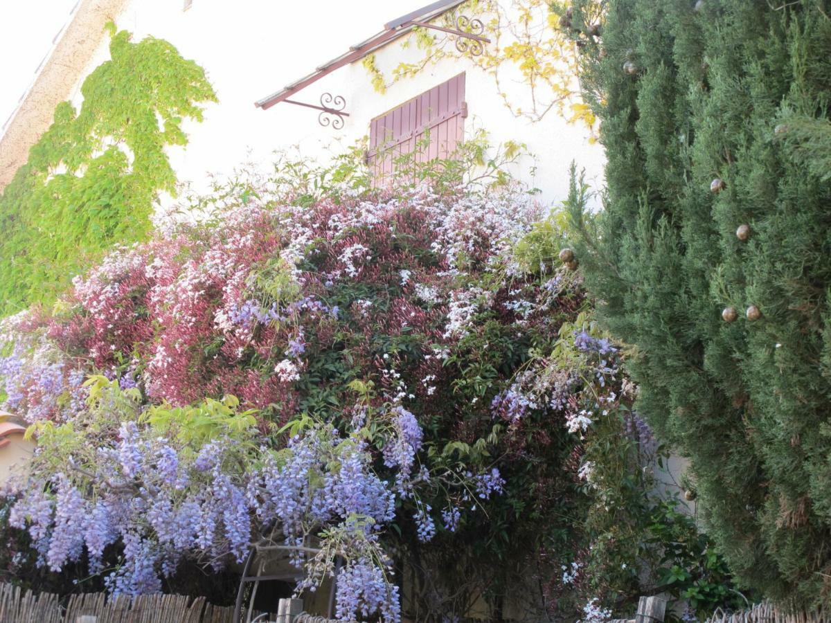 Casa-Tena-Sorède Dış mekan fotoğraf