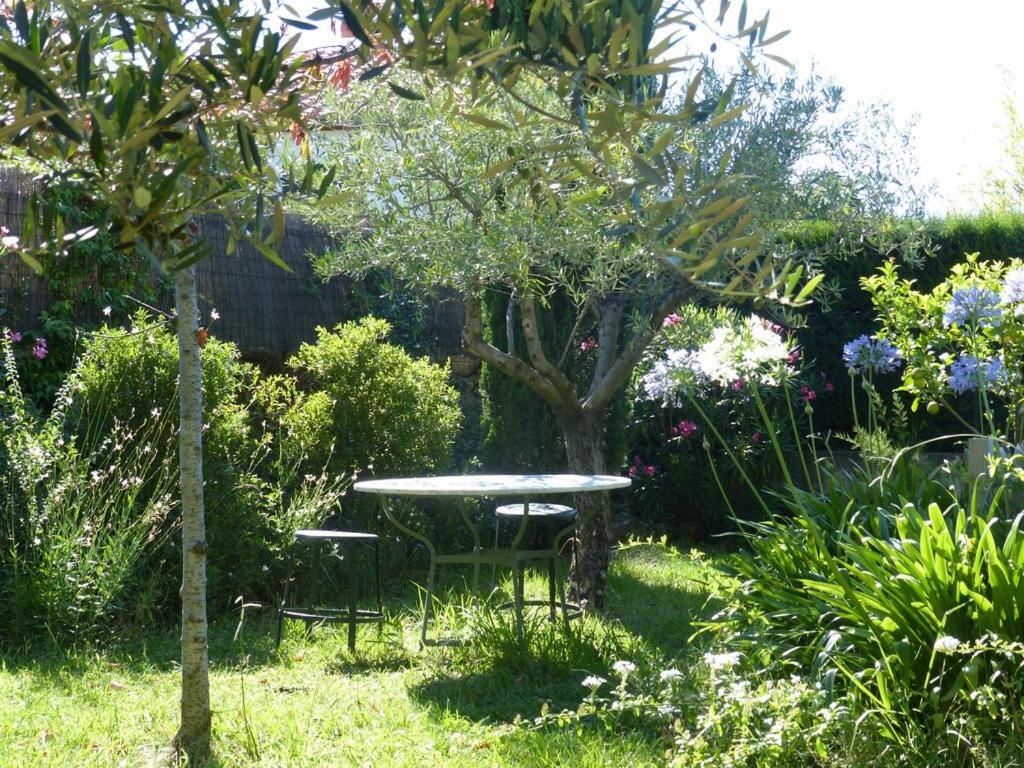 Casa-Tena-Sorède Oda fotoğraf