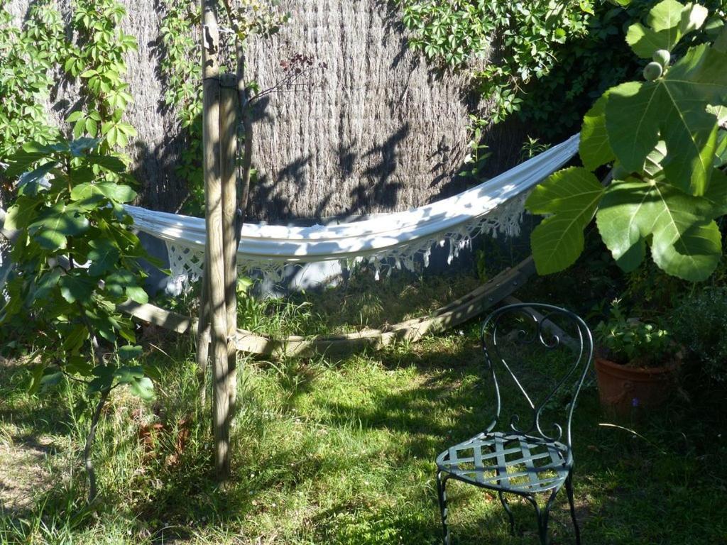 Casa-Tena-Sorède Oda fotoğraf