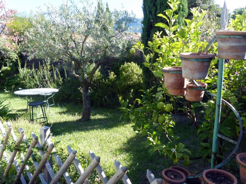 Casa-Tena-Sorède Oda fotoğraf