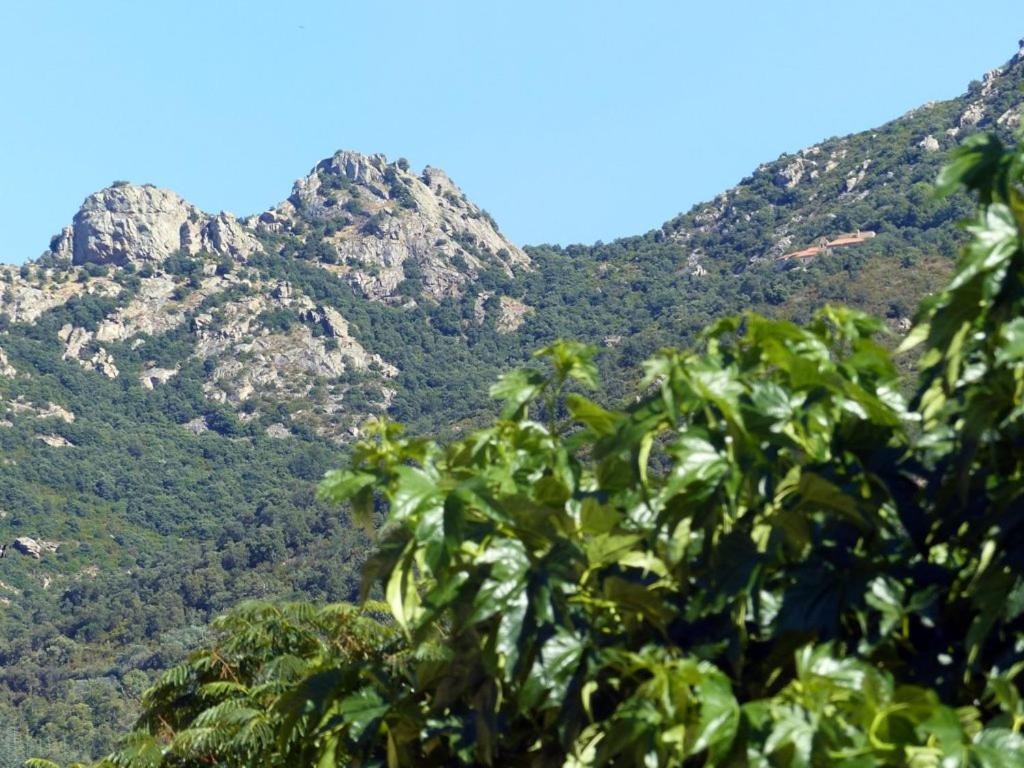 Casa-Tena-Sorède Oda fotoğraf