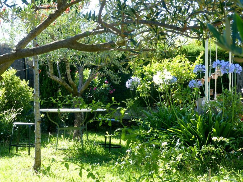 Casa-Tena-Sorède Oda fotoğraf